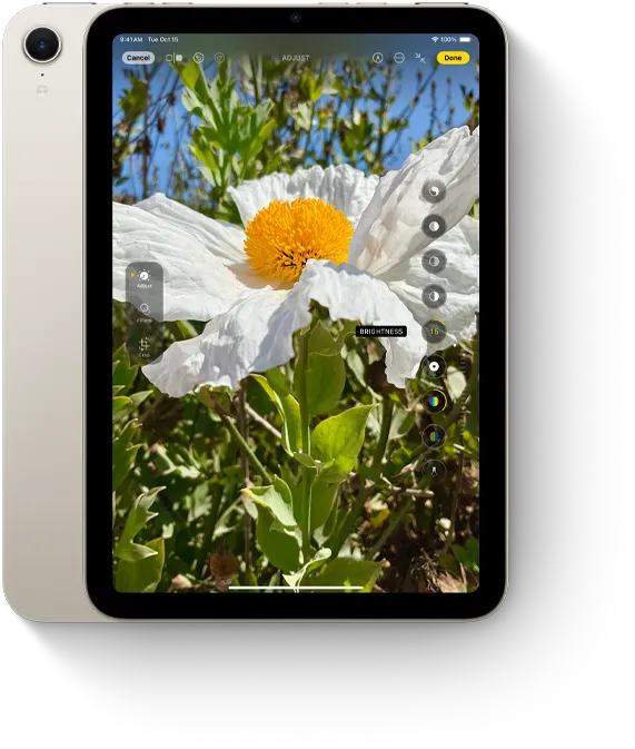 直向的 iPad mini 展示相片 app。