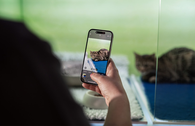 Nurses use iPhone to send regular pet picture updates — adding an extra layer of reassurance.