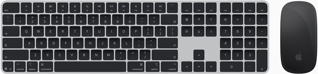 Draufsicht auf Magic Keyboard und Magic Mouse