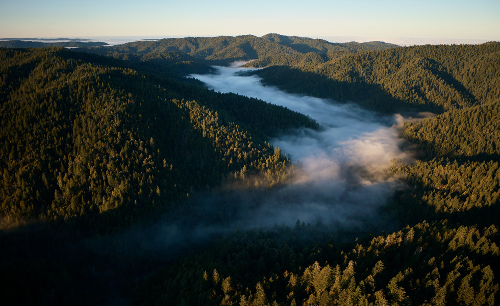 Aerial view of forested hills with low clouds settling in a valley at sunrise